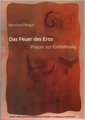 Braun |  Das Feuer des Eros | eBook | Sack Fachmedien