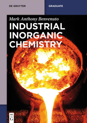 Benvenuto |  Industrial Inorganic Chemistry | eBook | Sack Fachmedien