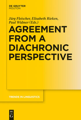 Fleischer / Widmer / Rieken | Agreement from a Diachronic Perspective | Buch | 978-3-11-037334-9 | sack.de