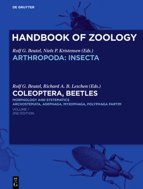 Kükenthal / Beutel / Schmidt-Rhaesa |  Coleoptera, Beetles. Morphology and Systematics | eBook | Sack Fachmedien