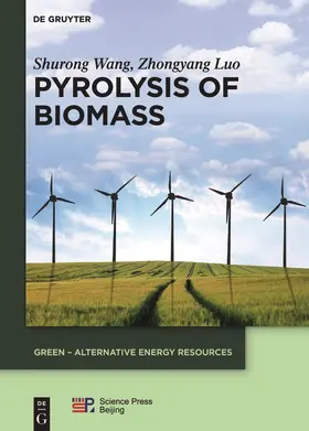 Wang / Luo |  Pyrolysis of Biomass | Buch |  Sack Fachmedien