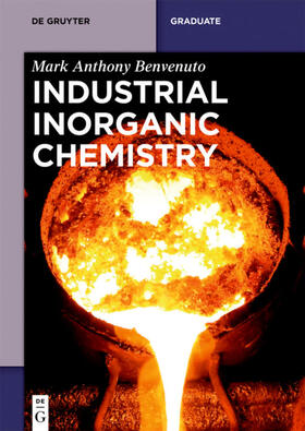 Benvenuto |  Industrial Inorganic Chemistry | eBook | Sack Fachmedien