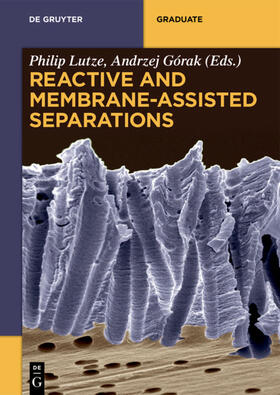 Lutze / Górak |  Reactive and Membrane-Assisted Separations | eBook | Sack Fachmedien