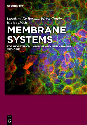 De Bartolo / Curcio / Drioli |  Membrane Systems | eBook | Sack Fachmedien