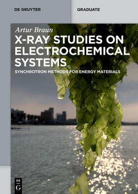 Braun |  X-Ray Studies on Electrochemical Systems | eBook | Sack Fachmedien