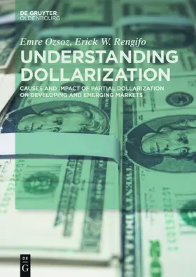 Rengifo / Ozsoz |  Understanding Dollarization | Buch |  Sack Fachmedien