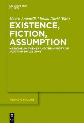 David / Antonelli |  Existence, Fiction, Assumption | Buch |  Sack Fachmedien