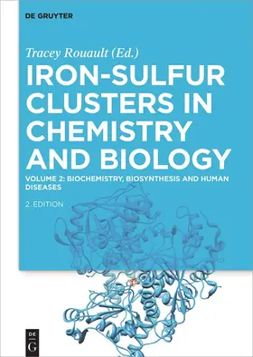 Rouault |  Biochemistry, Biosynthesis and Human Diseases | Buch |  Sack Fachmedien