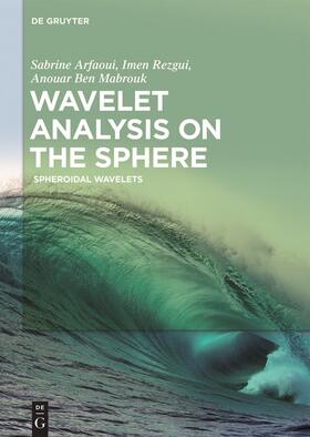 Arfaoui / Ben Mabrouk / Rezgui |  Wavelet Analysis on the Sphere | Buch |  Sack Fachmedien