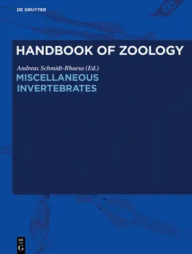 Kükenthal / Schmidt-Rhaesa / Beier |  Handbook of Zoology/ Handbuch der Zoologie, Miscellaneous Invertebrates | Buch |  Sack Fachmedien