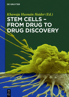 Haider |  Stem Cells - From Drug to Drug Discovery | eBook | Sack Fachmedien