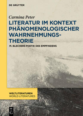 Peter |  Literatur im Kontext phänomenologischer Wahrnehmungstheorie | eBook | Sack Fachmedien