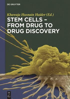 Haider |  Stem Cells - From Drug to Drug Discovery | Buch |  Sack Fachmedien