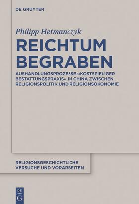 Hetmanczyk |  Reichtum begraben | Buch |  Sack Fachmedien