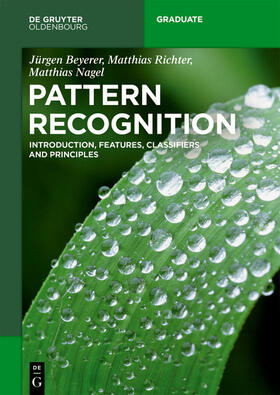 Beyerer / Richter / Nagel |  Pattern Recognition | eBook | Sack Fachmedien