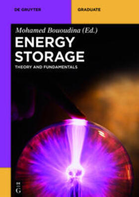 Bououdina |  Energy Storage | Buch |  Sack Fachmedien