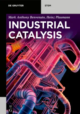 Benvenuto / Plaumann |  Industrial Catalysis | Buch |  Sack Fachmedien