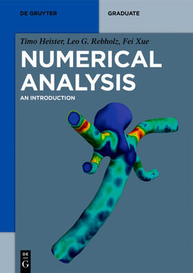 Heister / Xue / Rebholz |  Numerical Analysis | Buch |  Sack Fachmedien