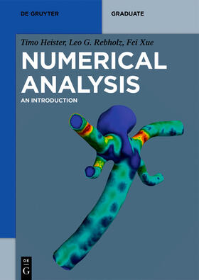 Heister / Rebholz / Xue |  Numerical Analysis | eBook | Sack Fachmedien