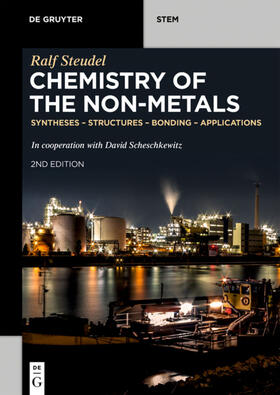 Steudel |  Chemistry of the Non-Metals | Buch |  Sack Fachmedien