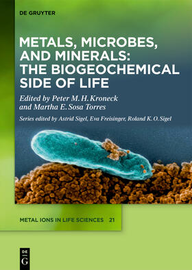 Kroneck / Sosa Torres |  Metals, Microbes, and Minerals - The Biogeochemical Side of Life | Buch |  Sack Fachmedien