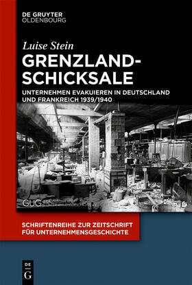 Stein |  Grenzlandschicksale | Buch |  Sack Fachmedien