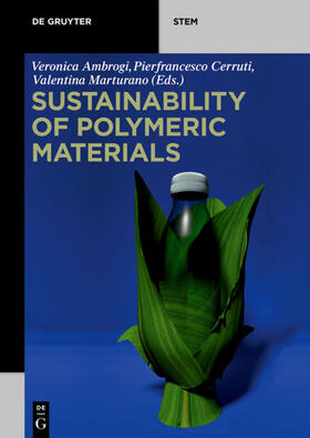 Marturano / Ambrogi / Cerruti |  Sustainability of Polymeric Materials | eBook | Sack Fachmedien