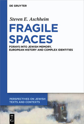 Aschheim |  Fragile Spaces | Buch |  Sack Fachmedien