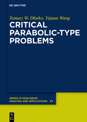 Dlotko / Dlotko / Wang |  Critical Parabolic-Type Problems | eBook | Sack Fachmedien