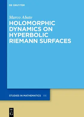 Abate |  Holomorphic Dynamics on Hyperbolic Riemann Surfaces | eBook | Sack Fachmedien