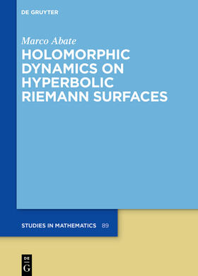 Abate |  Holomorphic Dynamics on Hyperbolic Riemann Surfaces | Buch |  Sack Fachmedien