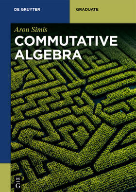 Simis |  Simis, A: Commutative Algebra | Buch |  Sack Fachmedien