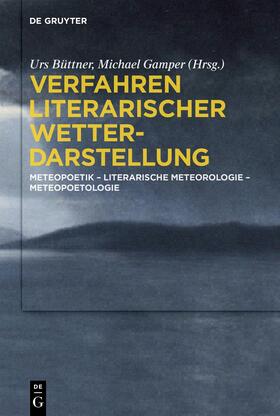 Büttner / Gamper |  Verfahren literarischer Wetterdarstellung | Buch |  Sack Fachmedien