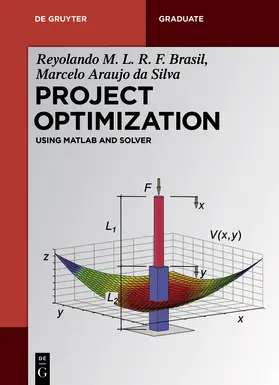 Brasil / Araujo da Silva |  Project Optimization | Buch |  Sack Fachmedien