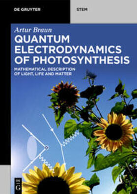 Braun |  Quantum Electrodynamics of Photosynthesis | eBook | Sack Fachmedien