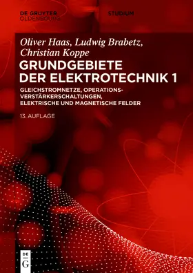 Brabetz / Koppe / Haas |  Gleichstromnetze, Operationsverstärkerschaltungen, elektrische und magnetische Felder | Buch |  Sack Fachmedien