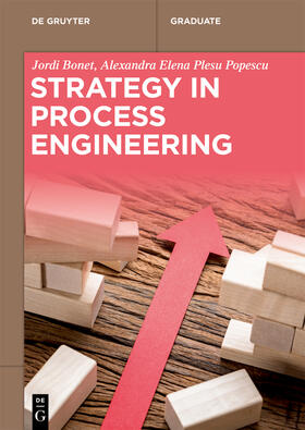Bonet / Bonet Ruiz / Plesu Popescu |  Strategy in Process Engineering | Buch |  Sack Fachmedien