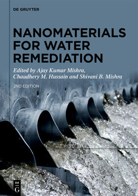 Mishra / Hussain |  Nanomaterials for Water Remediation | eBook | Sack Fachmedien