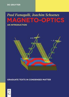 Fumagalli / Schoenes |  Magneto-optics | eBook | Sack Fachmedien