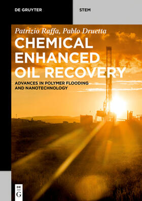 Raffa / Druetta |  Chemical Enhanced Oil Recovery | eBook | Sack Fachmedien