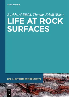 Büdel / Friedl |  Life at Rock Surfaces | Buch |  Sack Fachmedien