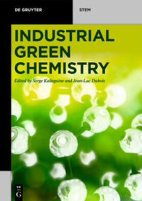 Kaliaguine / Dubois |  Industrial Green Chemistry | eBook | Sack Fachmedien