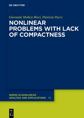 Molica Bisci / Pucci |  Nonlinear Problems with Lack of Compactness | Buch |  Sack Fachmedien