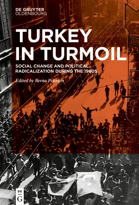 Pekesen |  Turkey in Turmoil | Buch |  Sack Fachmedien