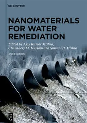 Mishra / Hussain |  Nanomaterials for Water Remediation | eBook | Sack Fachmedien