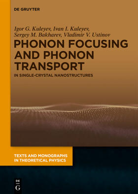 Kuleyev / Bakharev / Ustinov |  Phonon Focusing and Phonon Transport | Buch |  Sack Fachmedien