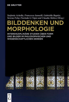 Follesa / Vercellone |  Bilddenken und Morphologie | Buch |  Sack Fachmedien