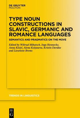 Mihatsch / Hennecke / Kisiel |  Type Noun Constructions in Slavic, Germanic and Romance Languages | eBook | Sack Fachmedien