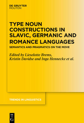 Brems / Mihatsch / Davidse |  Type Noun Constructions in Slavic, Germanic and Romance Languages | eBook | Sack Fachmedien