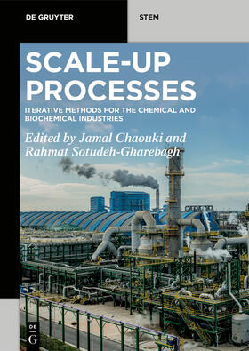 Chaouki / Sotudeh-Gharebagh |  Scale-Up Processes | Buch |  Sack Fachmedien